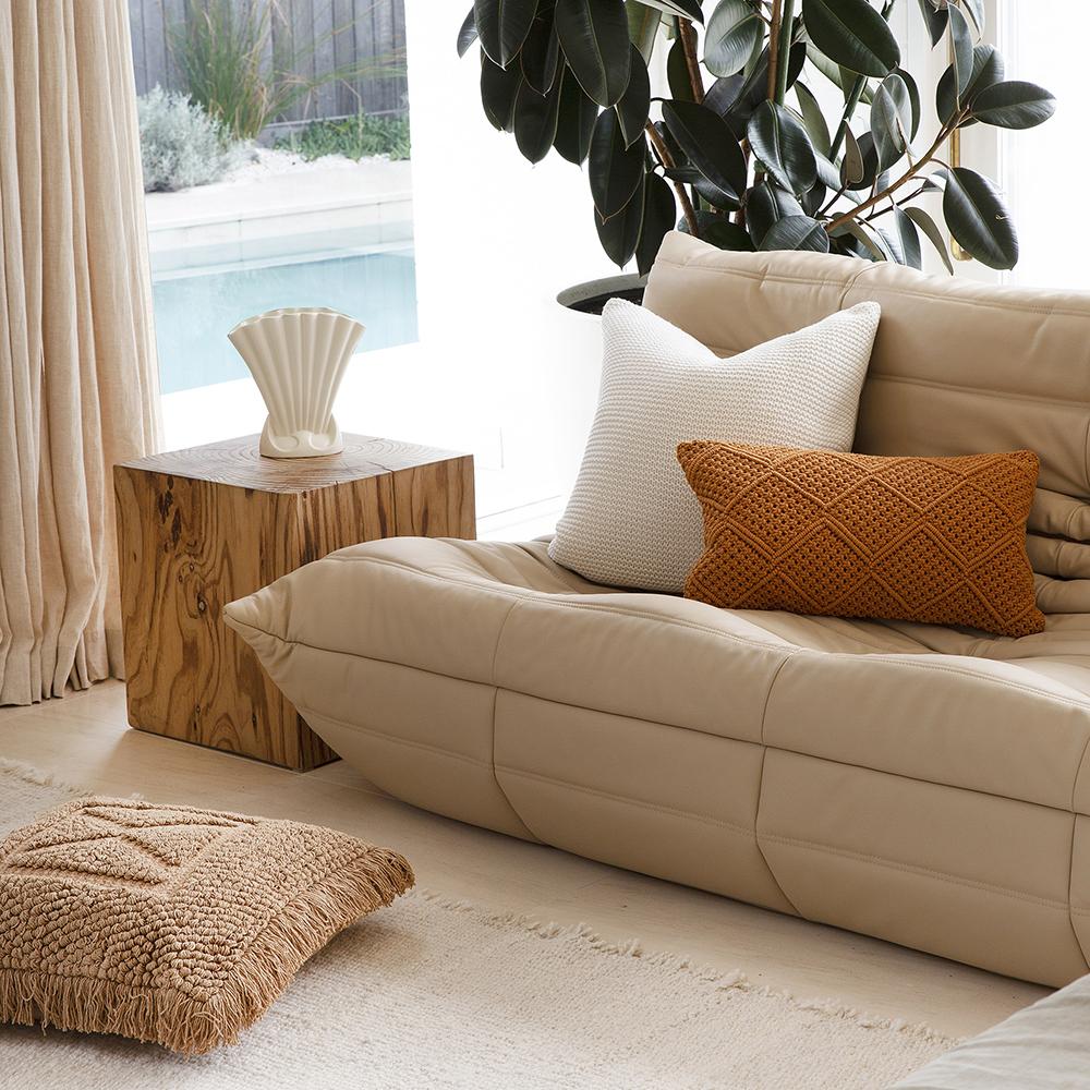leather couch with throw cushions and indoor plant